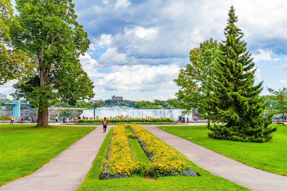 Un parc avec un chemin pavé, de l’herbe verte, des fleurs jaunes et de grands arbres.
