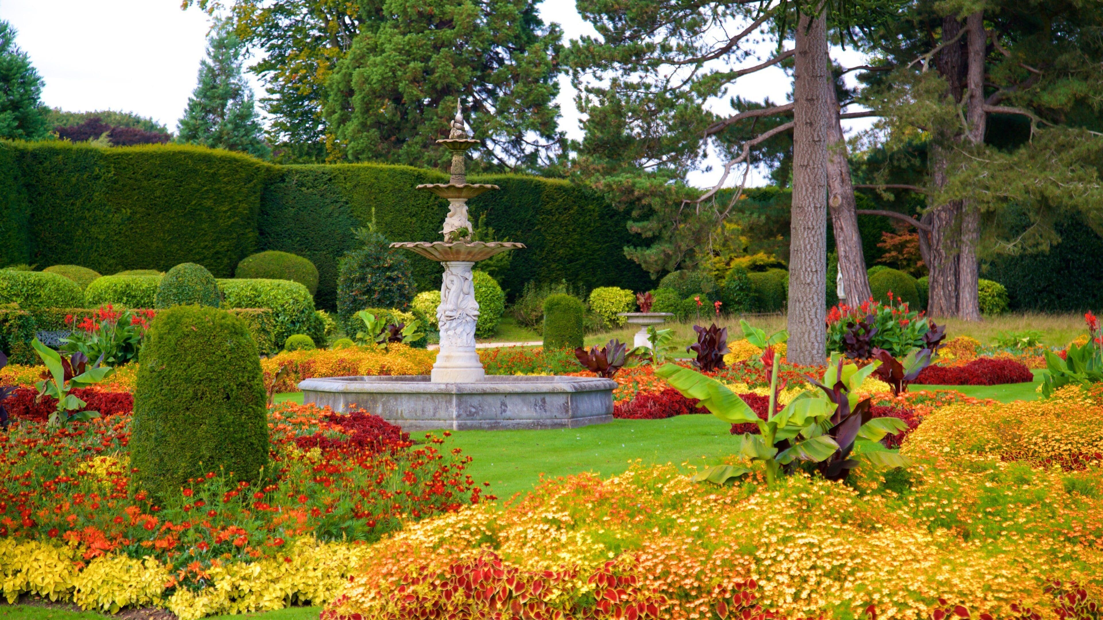 Brodsworth Hall featuring wildflowers, a fountain and a park