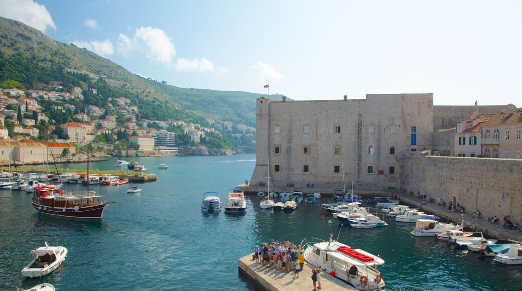 Dubrovnik Aquarium and Maritime Museum showing a marina and heritage elements