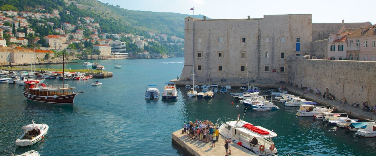 Dubrovnik Aquarium and Maritime Museum showing a marina and heritage elements
