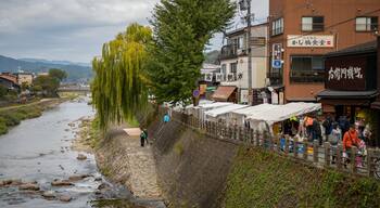 Miyagawa Morning Market