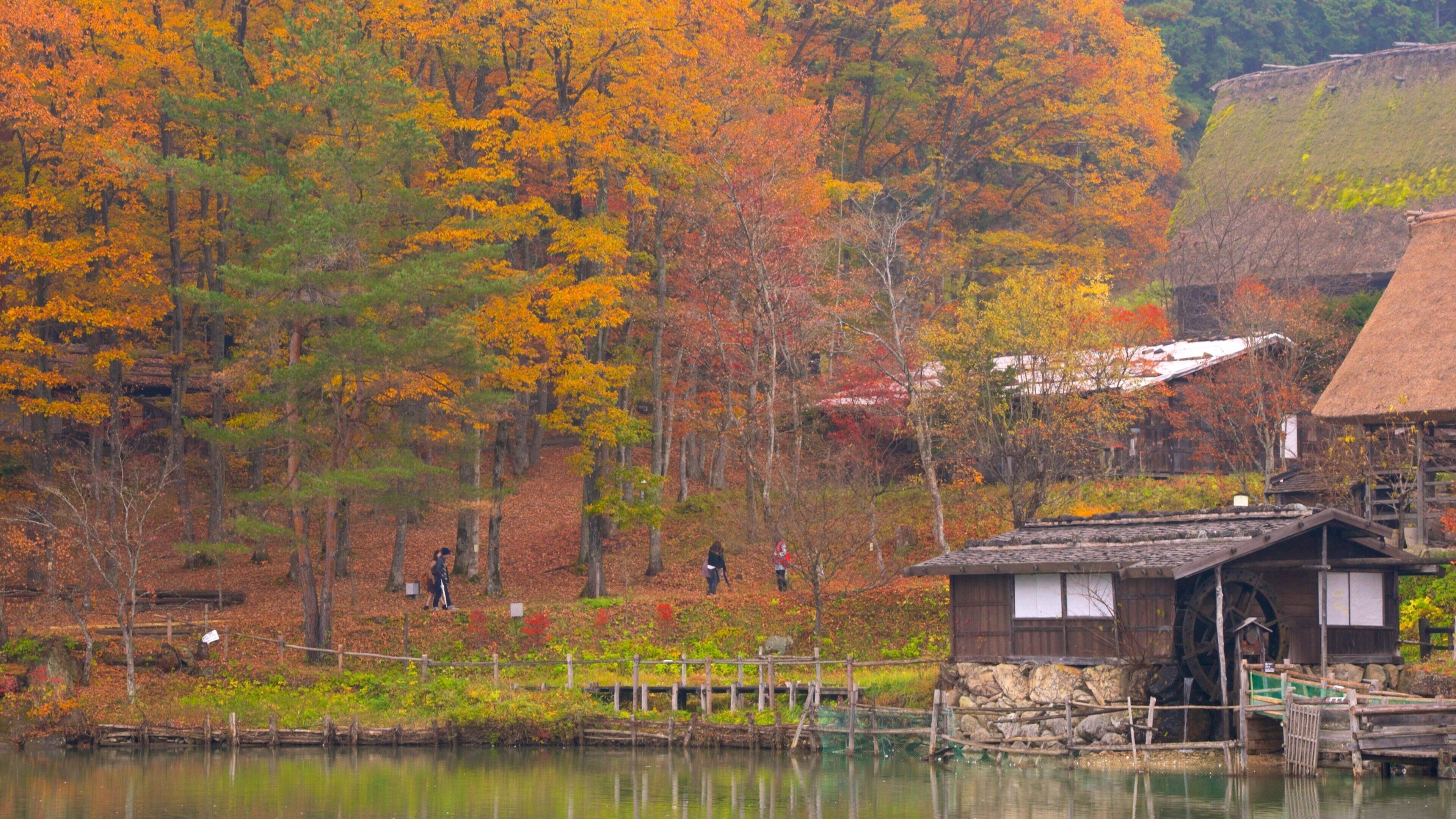 Hida Minzoku Mura Folk Village showing autumn leaves, forest scenes and a lake or waterhole