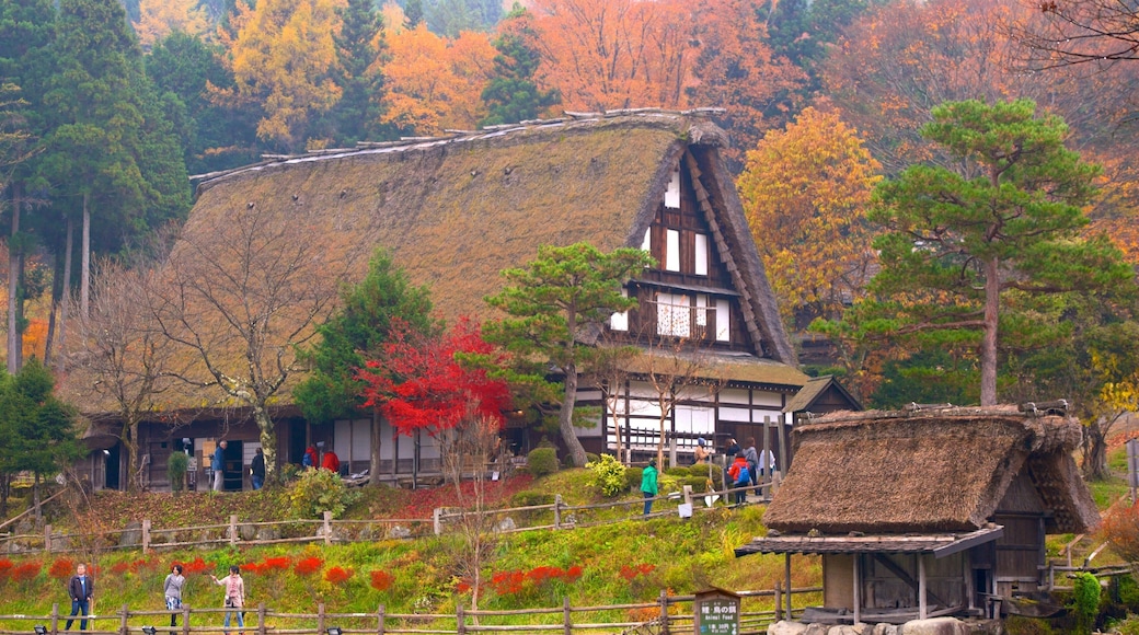 Hida Minzoku Mura Folk Village showing fall colors and a house