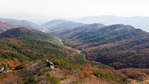 PANORAMA View from palgongsan skyline cablecar, Daegu in Autumn