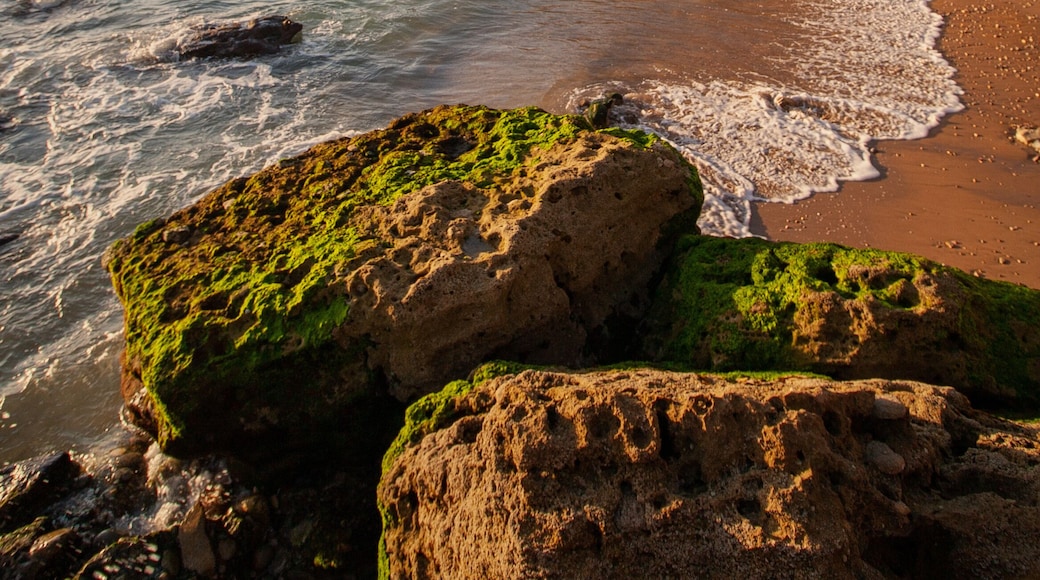 A coastal landscape with rocky cliffs, green moss-covered rocks, and waves crashing onto the sandy beach.