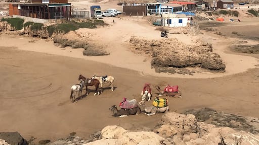 The view from the top of Devil’s Rock in Tamraght Morocco. #morocco #tamraght #devilsrockmorocco #beach #camels #camelsonthebeach #cameltan #viewpoint #flashpackingbarbie #worldtrip2019 #moroccansummer #moroccanbeach