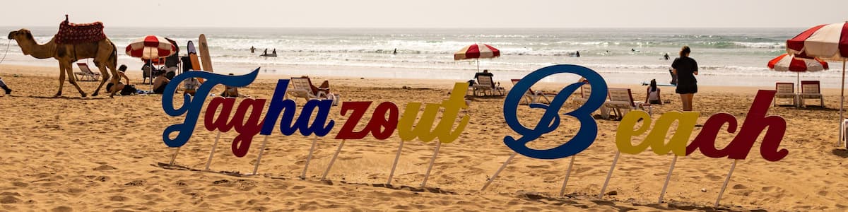 A beach with a camel, beach chairs, and umbrellas.