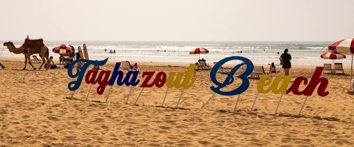 Una playa con un camello, sillas de playa y sombrillas.