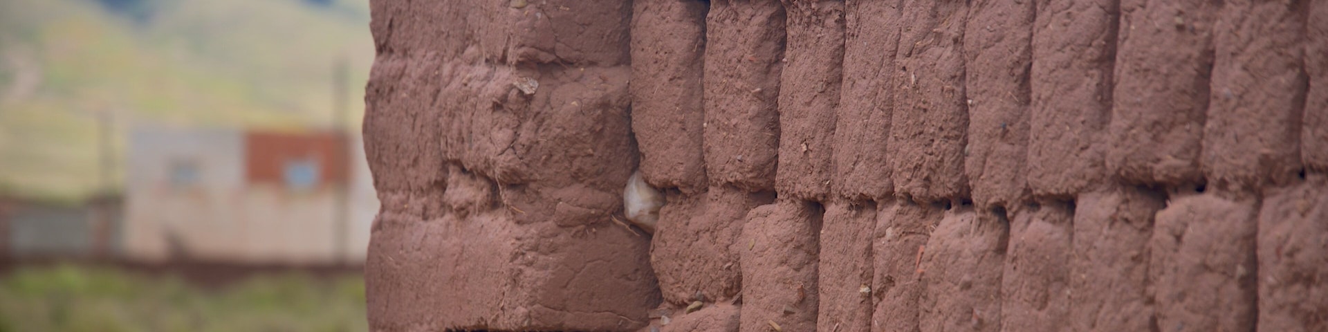 Tiwanaku featuring heritage elements