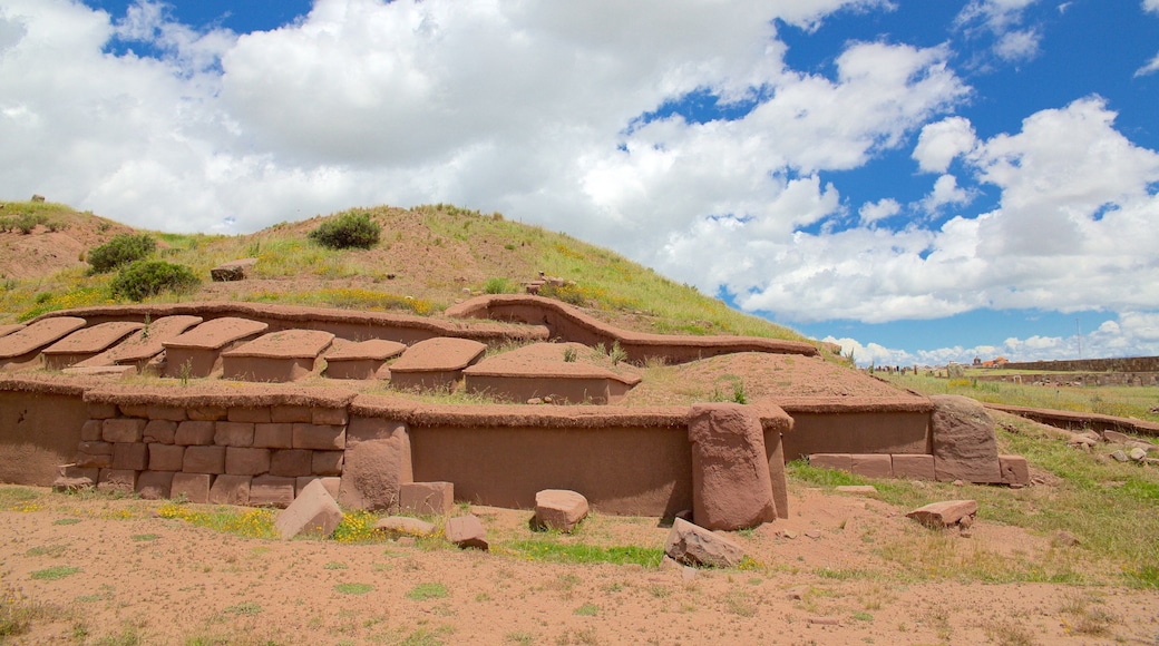 Tiahuanaco ofreciendo elementos del patrimonio y escenas tranquilas