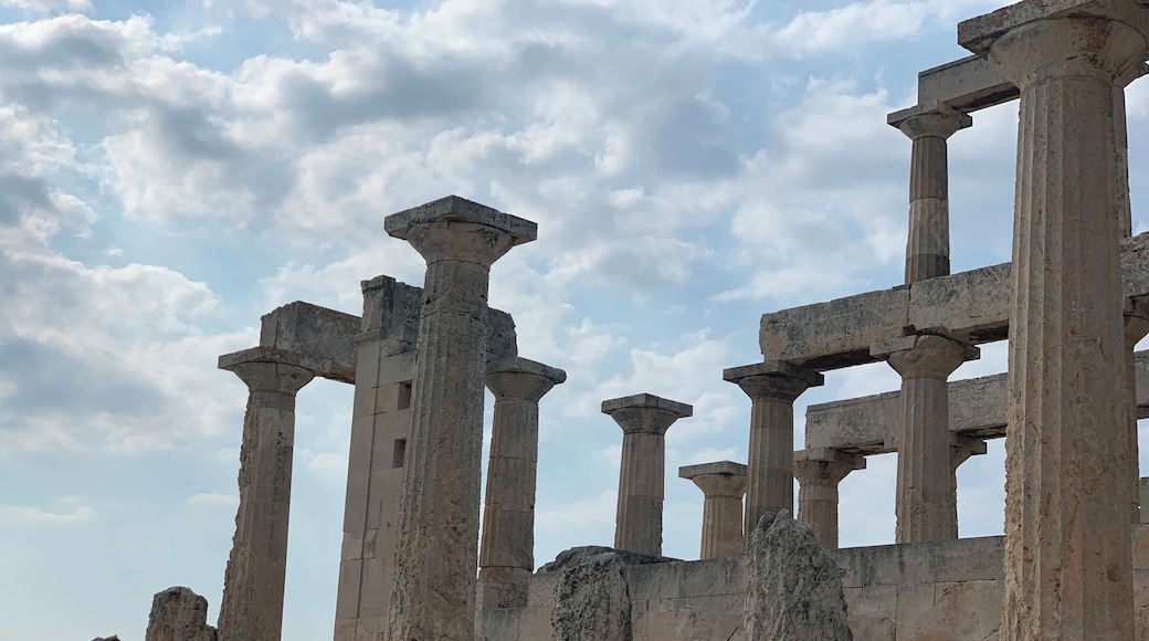 Temple of Aegina #history