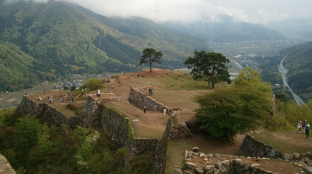 ć
”ćș«çææ„ćž ç«čç°ćć