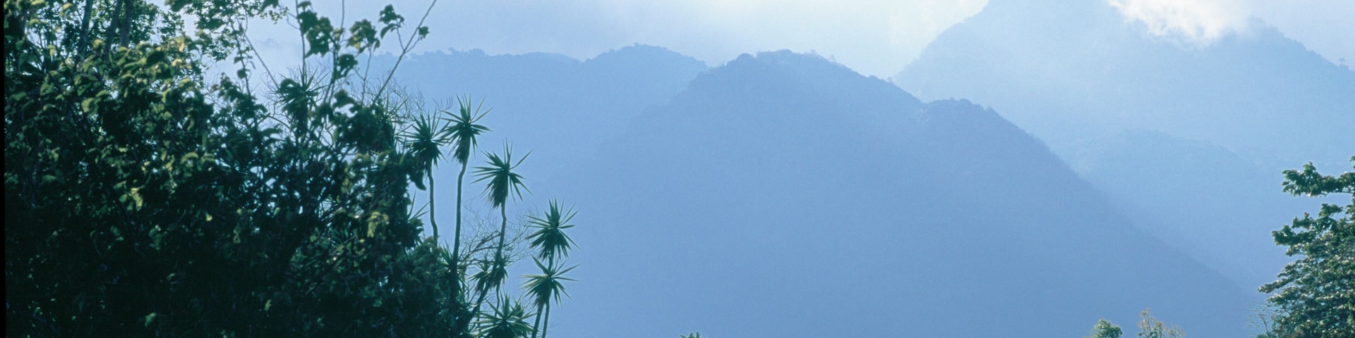 Panama, Baru National Park, Baru Volcano