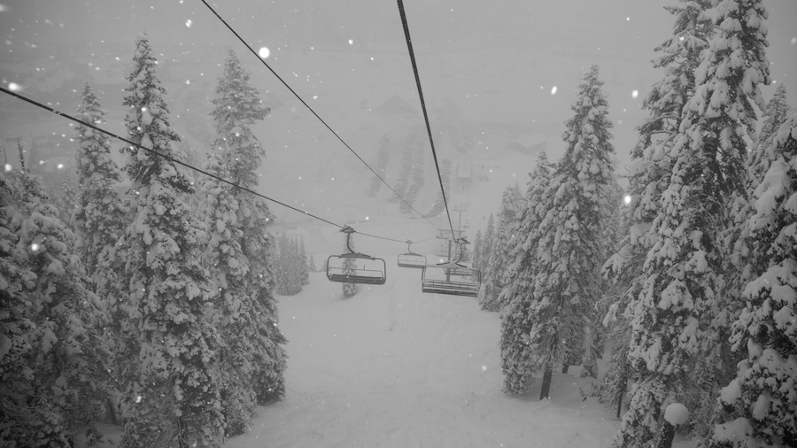 Chairlifts in a snowstorm at a ski resort in California, USA; California, United States of America
