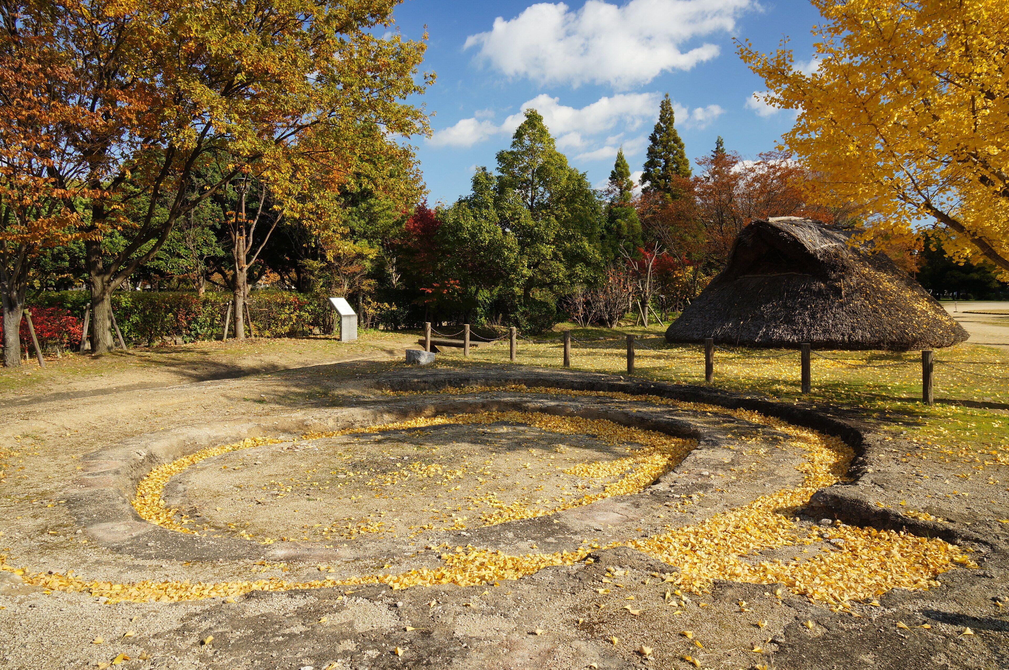 This is a complete original image ( no retouch, and no re-compression ).