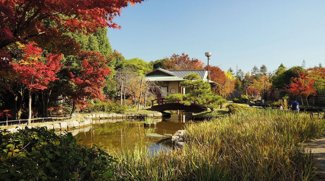 At Nozoe-kita_Park in Harima, Hyogo prefecture, Japan.