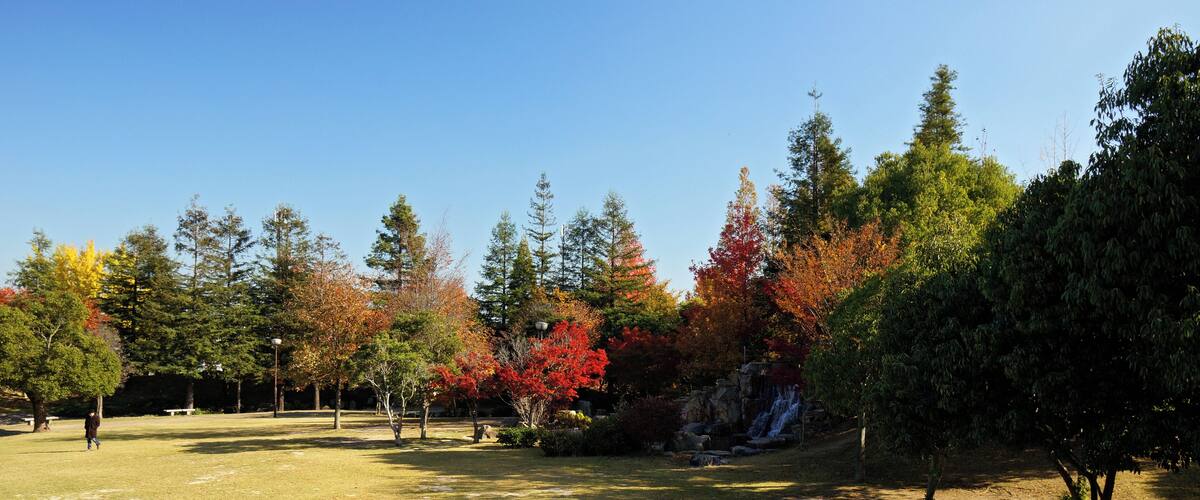 A park with autumn trees, a clear sky, and a small waterfall.