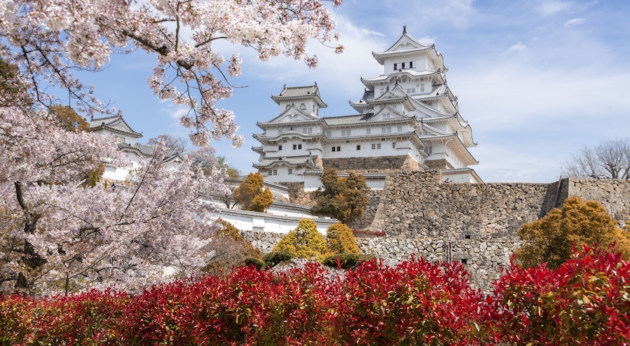 Ett traditionellt japanskt slott med flera våningar, omgivet av blommande körsbärsträd och höstlövsverk.