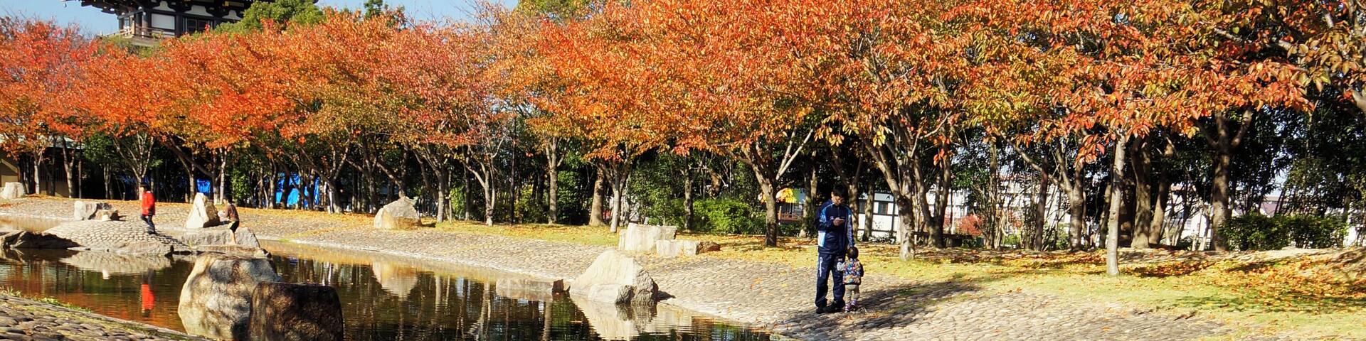 At Nozoe-kita_Park in Harima, Hyogo prefecture, Japan.