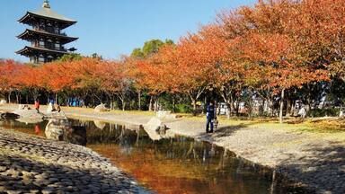 A pagoda, autumn trees, a pond, and a stone path.