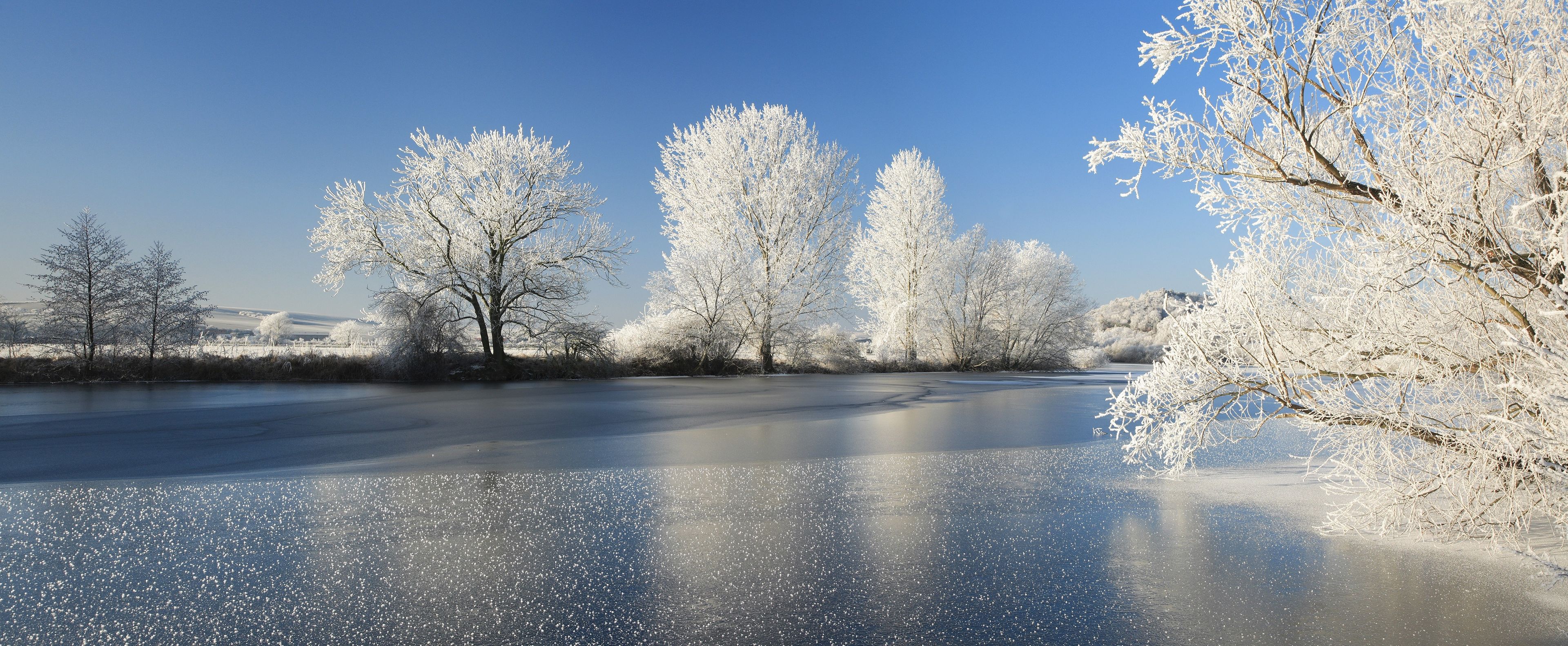 Half-frozen small lake in winter, arm of the Saale, trees with snow and hoarfrost on the shore, ice crystals in the foreground, Lower Saale Valley nature park Park, Halle, Saxony-Anhalt, Germany