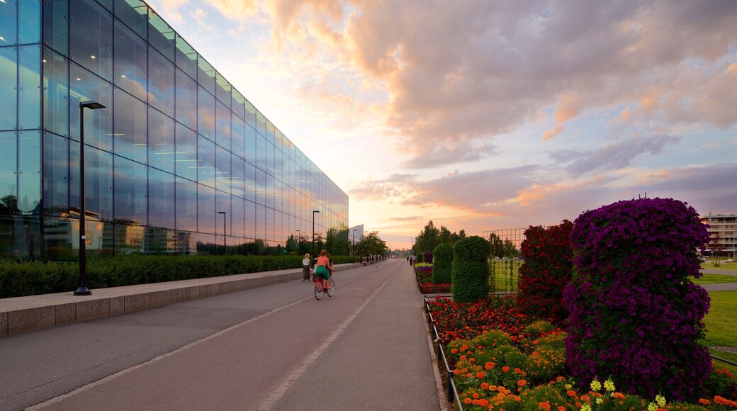 Helsinki Music Centre featuring a sunset and flowers