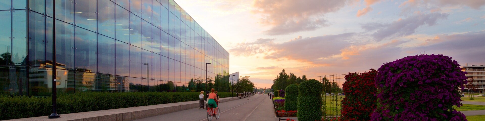 Helsinki Music Centre featuring a sunset and flowers