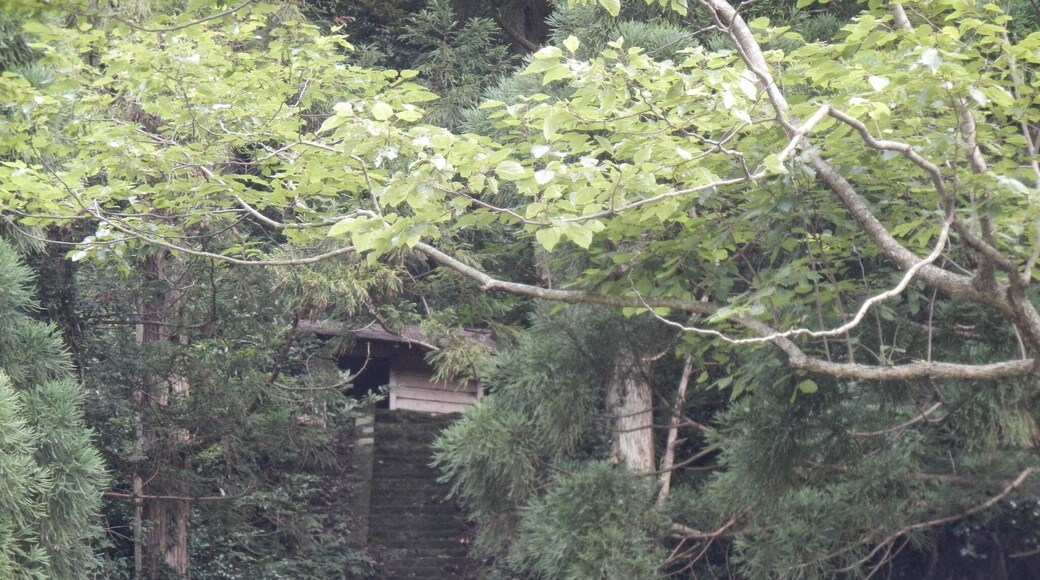 Kasumiku Amarube, Kami, Mikata District, Hyogo Prefecture 669-6671, Japan