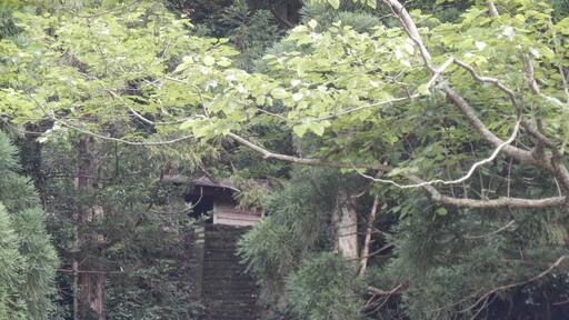 Kasumiku Amarube, Kami, Mikata District, Hyogo Prefecture 669-6671, Japan