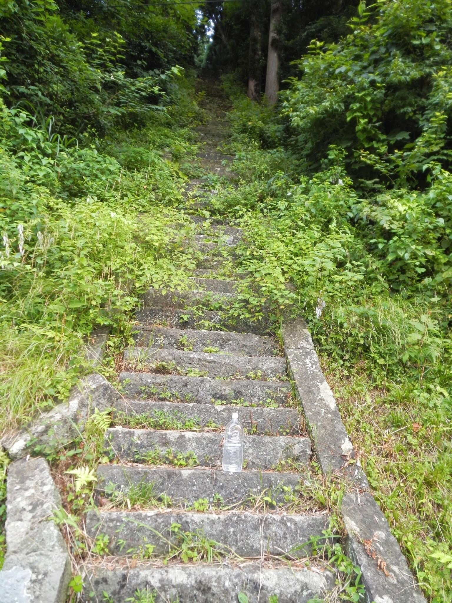 Kasumiku Amarube, Kami, Mikata District, Hyogo Prefecture 669-6671, Japan