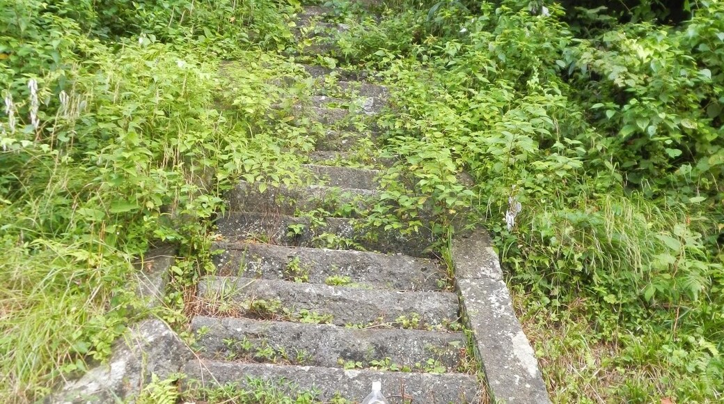 Kasumiku Amarube, Kami, Mikata District, Hyogo Prefecture 669-6671, Japan