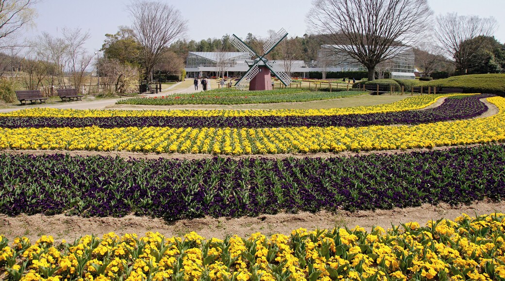 Hyogo Prefectural Flower Center in Kasai, Hyogo prefecture, Japan.