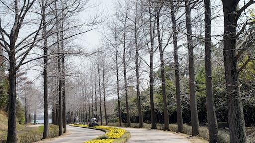 Hyogo Prefectural Flower Center in Kasai, Hyogo prefecture, Japan.