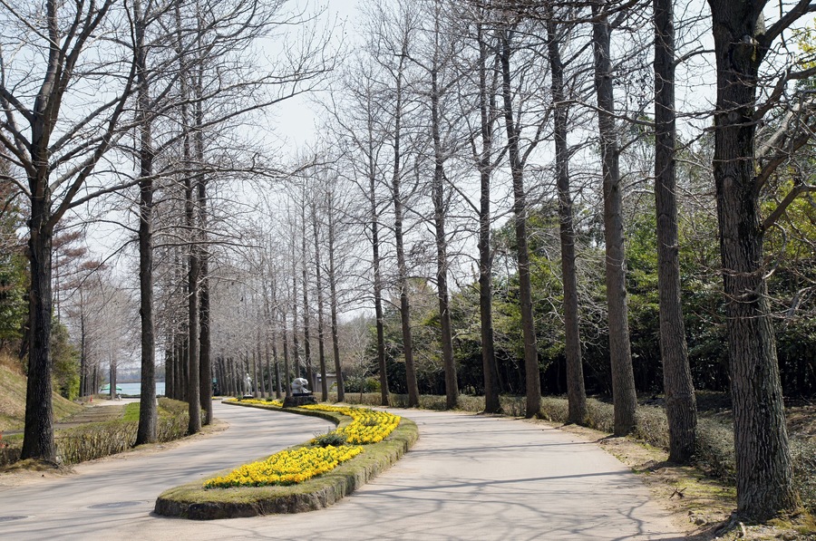 Hyogo Prefectural Flower Center in Kasai, Hyogo prefecture, Japan.