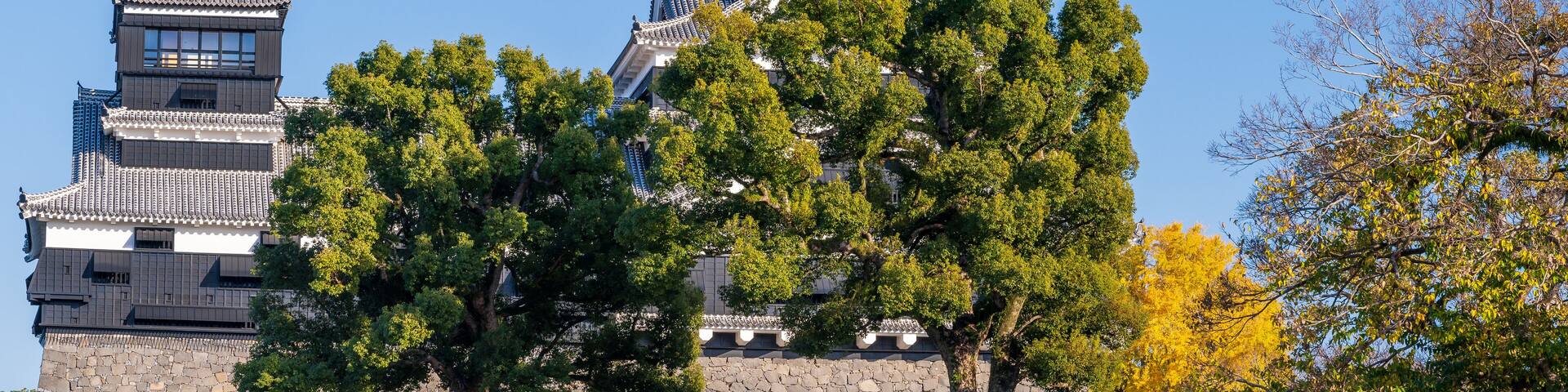 秋晴れ空に映える城と銀杏の木
A castle and ginkgo trees that shine against the clear autumn sky
日本(秋)2022年撮影
Japan (Autumn) Photographed in 2022
九州・熊本市
Kyushu/Kumamoto City
「熊本城・加藤神社」
"Kumamoto Castle/Kato Shrine"