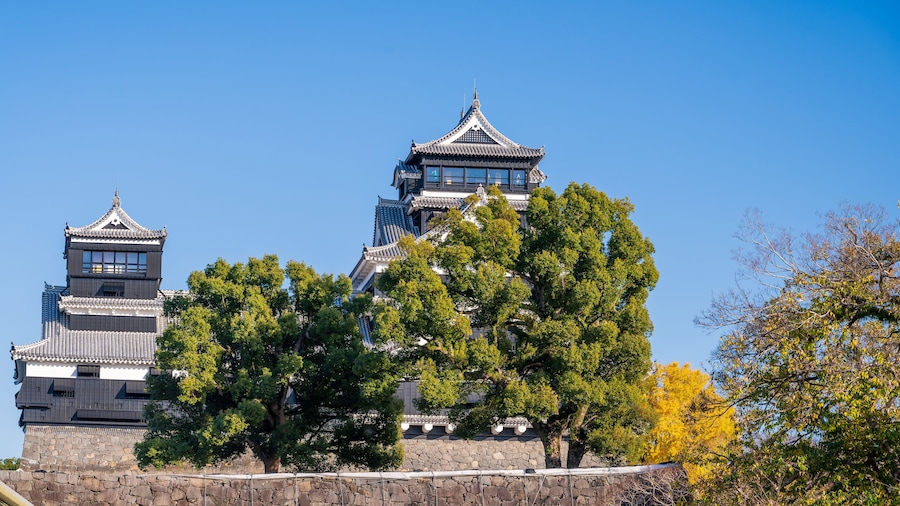 秋晴れ空に映える城と銀杏の木
A castle and ginkgo trees that shine against the clear autumn sky
日本(秋)2022年撮影
Japan (Autumn) Photographed in 2022
九州・熊本市
Kyushu/Kumamoto City
「熊本城・加藤神社」
"Kumamoto Castle/Kato Shrine"
