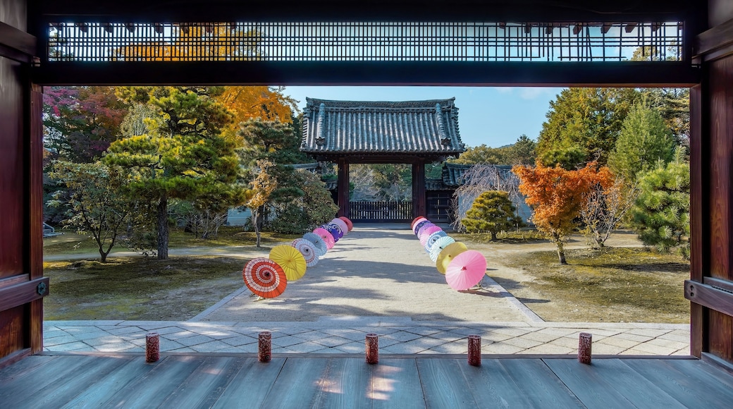 Scenic View of Zuishin-in Temple with beautiful foliage in autumn in Kyoto, Japan