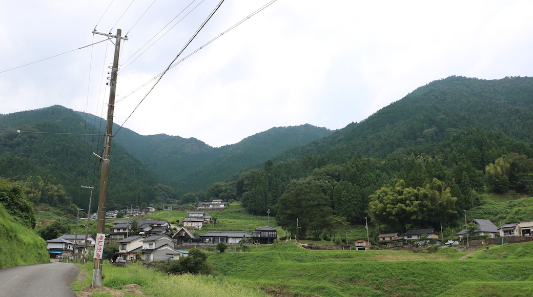 Distant view of Takinoya no Hidarimakigaya tree