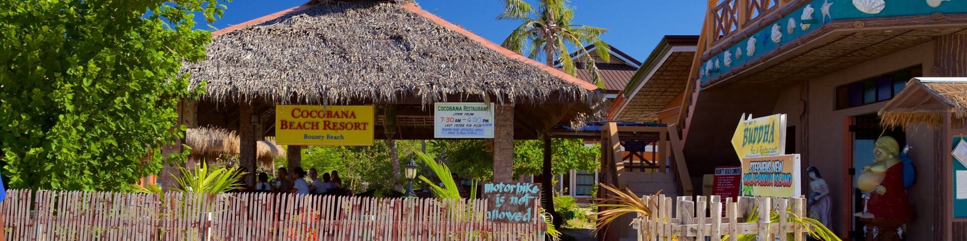 A beach resort with a thatched-roof hut, wooden fences, and tropical plants.