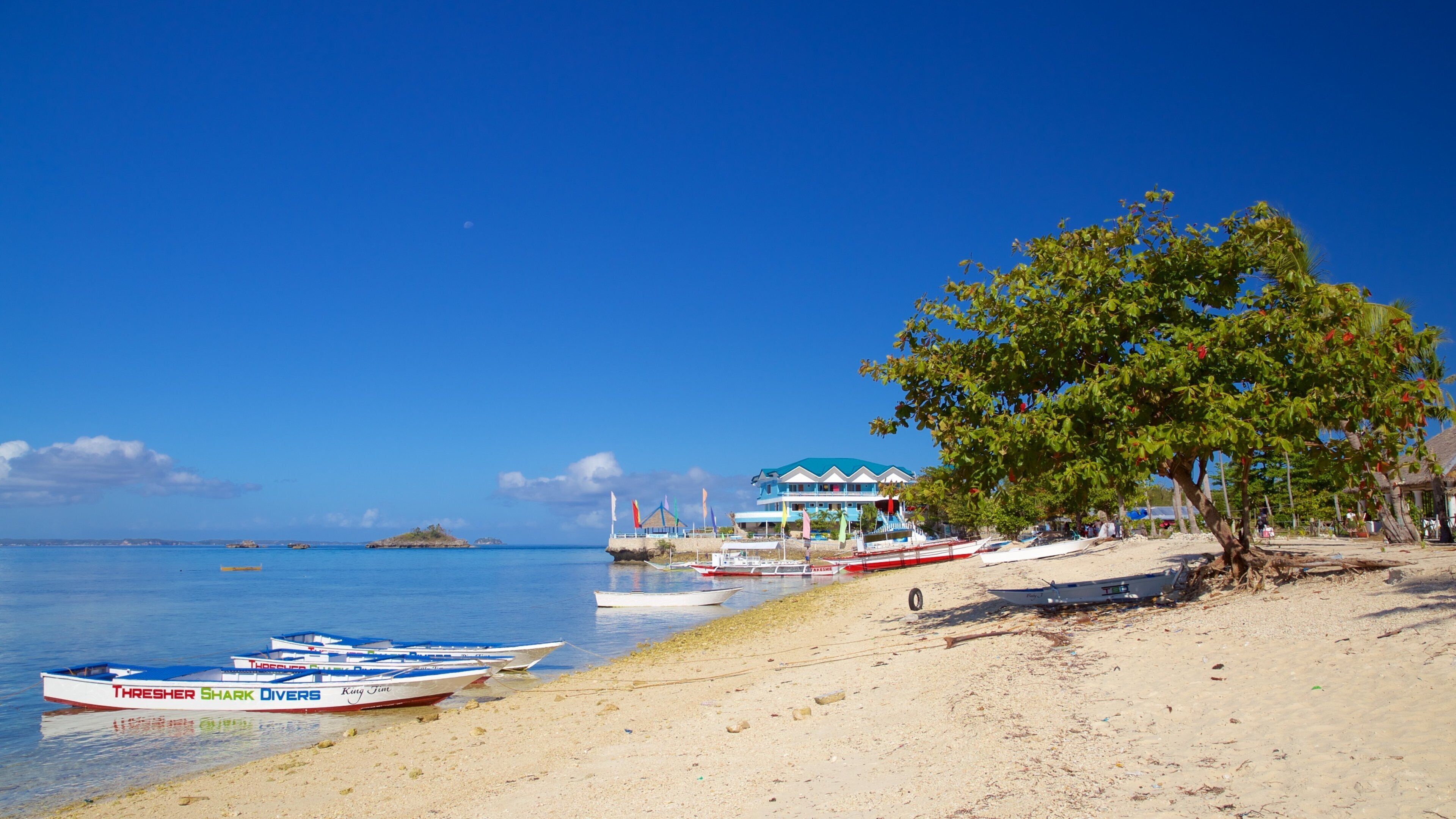Bounty Beach which includes a beach and general coastal views