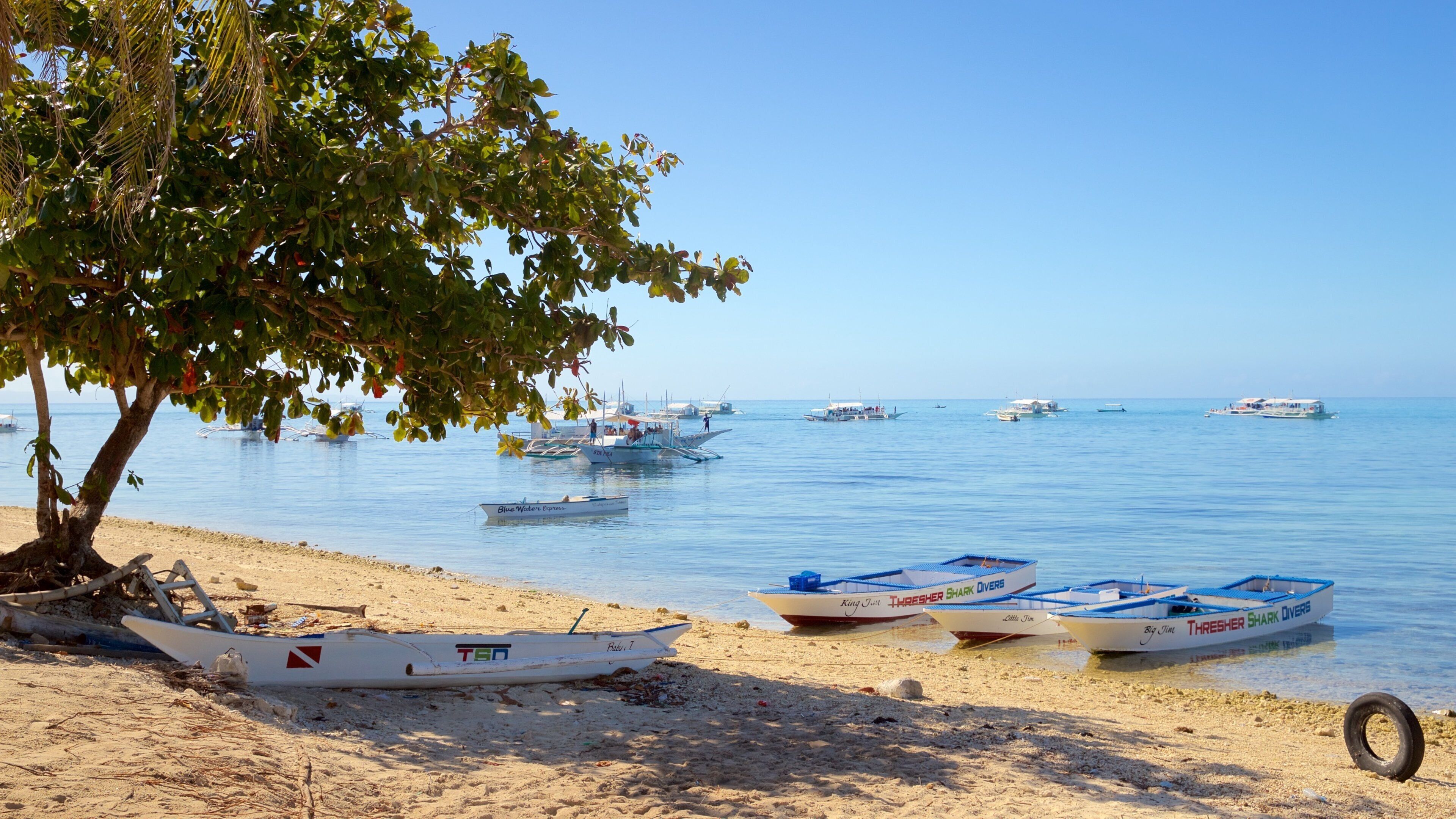 Bounty Beach featuring general coastal views and a beach