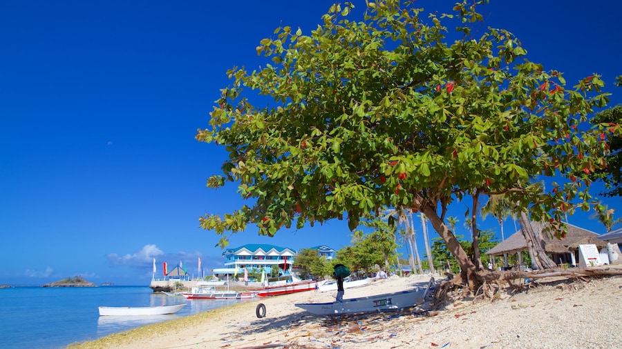 Bounty Beach showing general coastal views and a beach