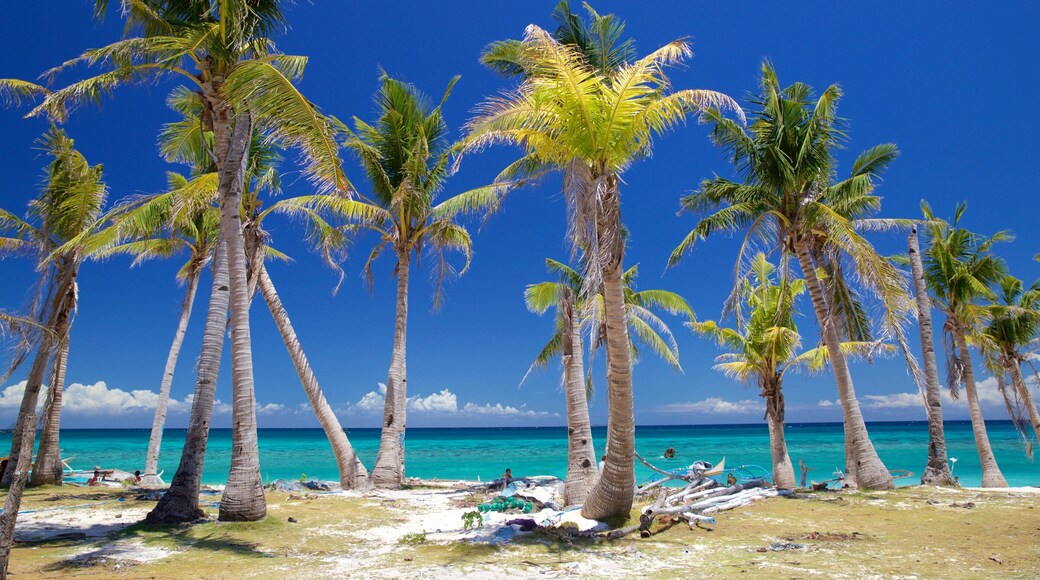 Playa de Guimbitayan que incluye escenas tropicales y vistas de una costa