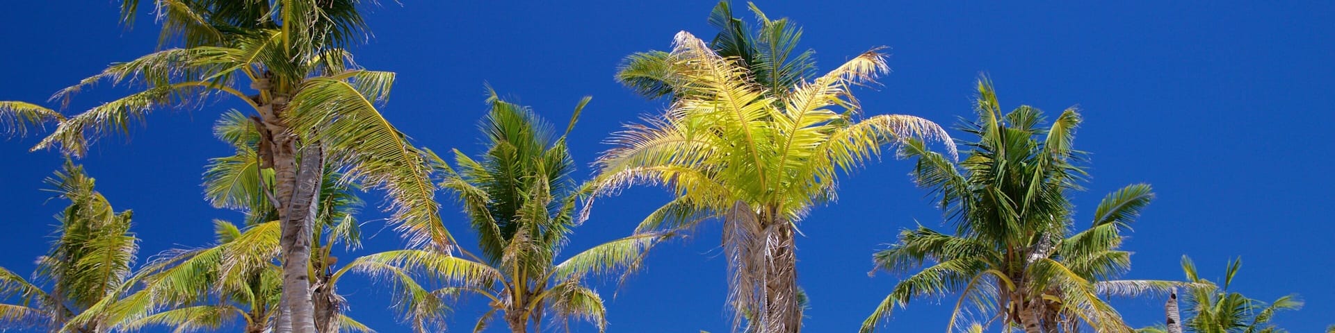 Guimbitayan Beach welches beinhaltet tropische Szenerien und allgemeine KĂŒstenansicht