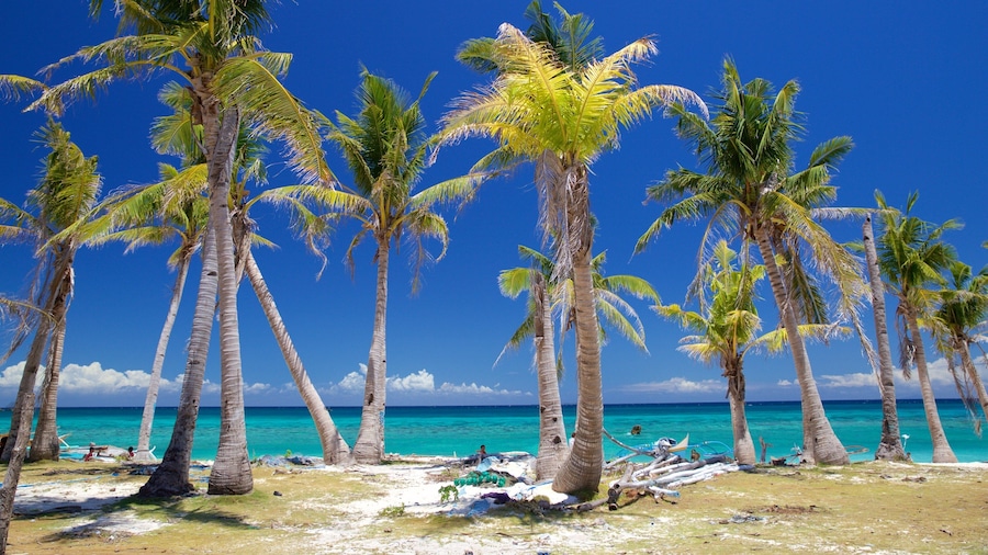 Guimbitayan Beach featuring general coastal views and tropical scenes