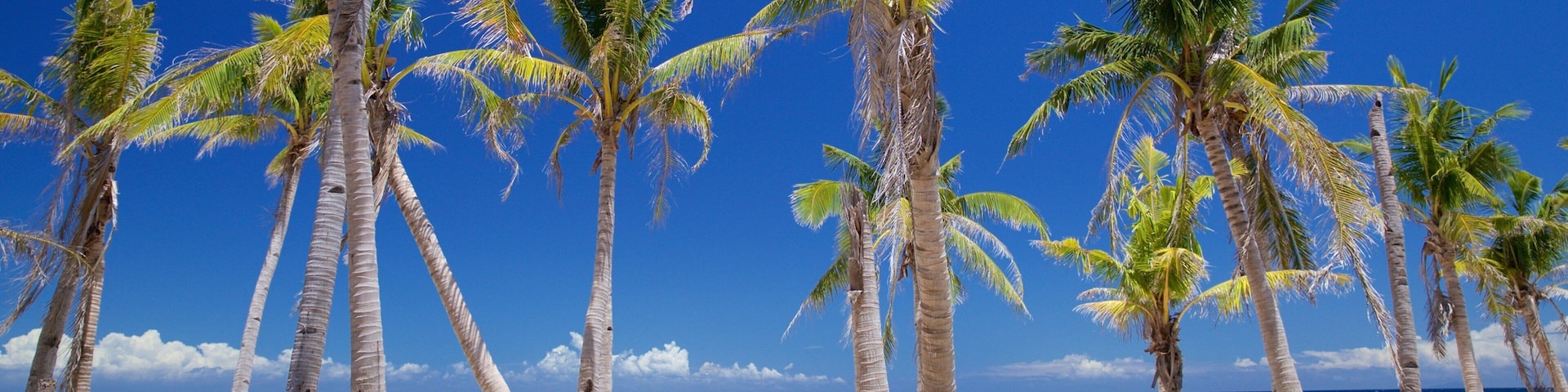 Spiaggia di Guimbitayan che include paesaggio tropicale e vista della costa