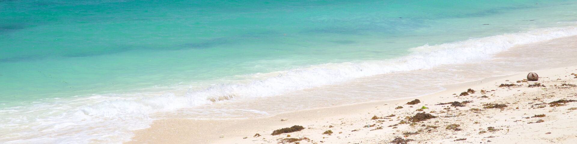 A turquoise sea, sandy beach, and a rocky island with vegetation.