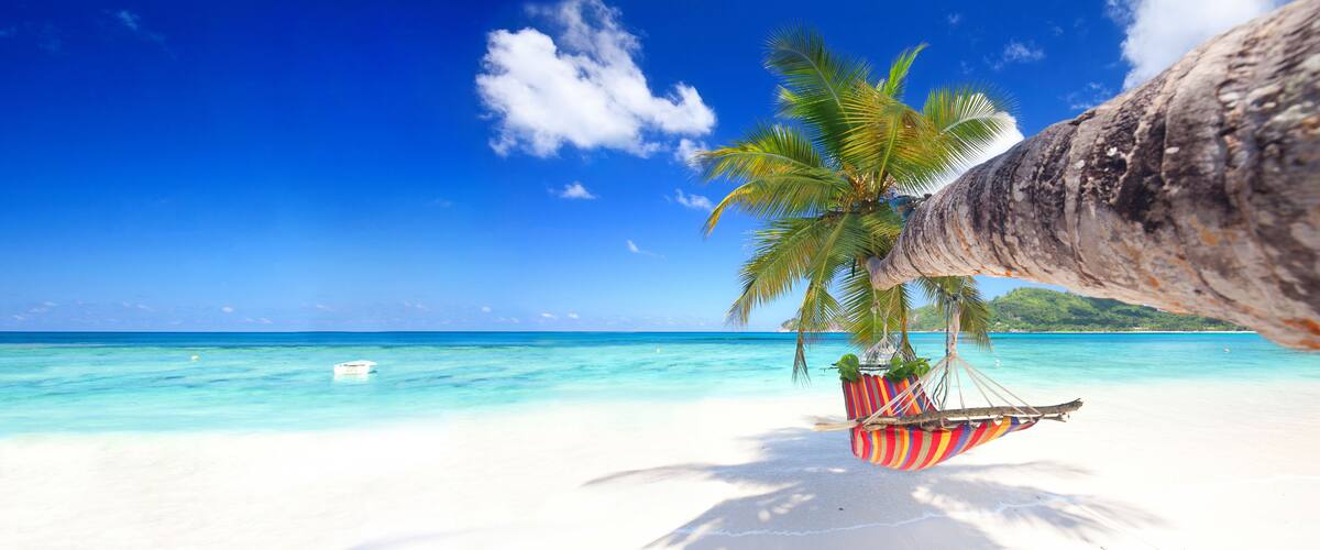 A beach with white sand, turquoise water, a hammock hanging from a palm tree, and a boat in the distance.