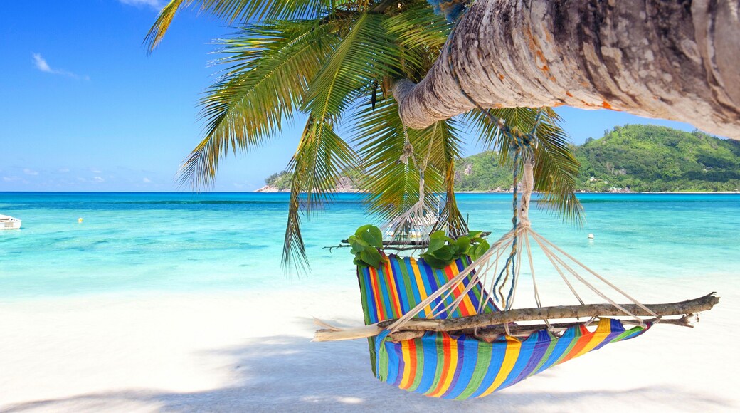 Traumstrand am Meer mit Hängematte