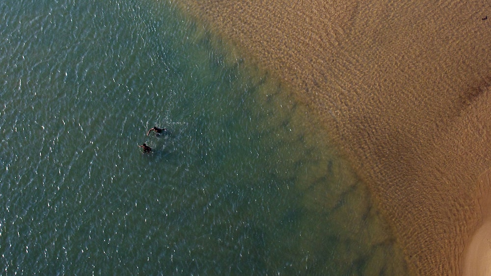A beach with clear water and a sandy shore.